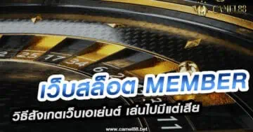 เว็บสล็อต member