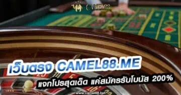 เว็บตรง Camel88.me