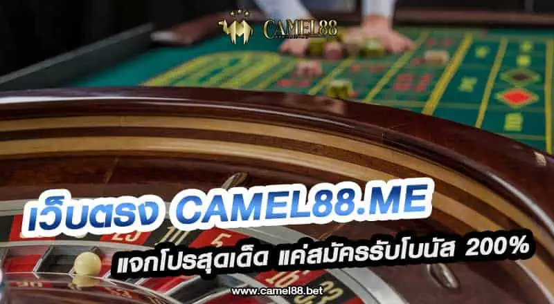 เว็บตรง Camel88.me