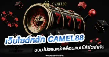 เว็บไซต์หลัก Camel88