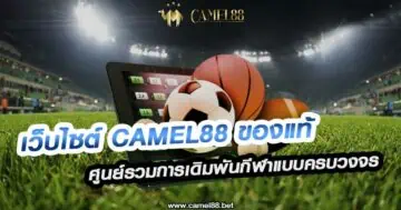 เว็บไซต์ Camel88 ของแท้