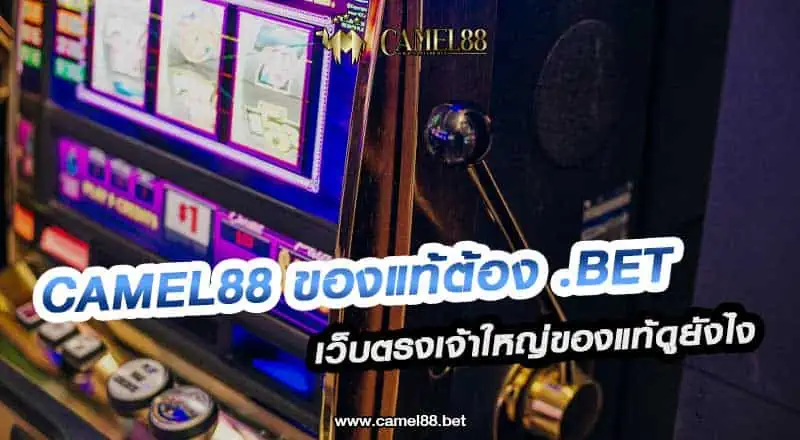 Camel88 ของแท้ต้อง .bet