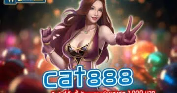 cat888