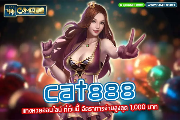 cat888