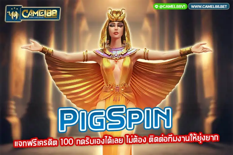 pigspin