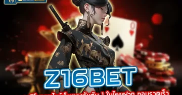 z16bet